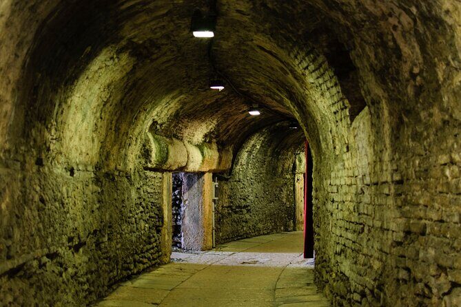 Private tour Colosseum Underground & Ancient Rome - Roman Forum: Caesar, Titus, and the architecture of power